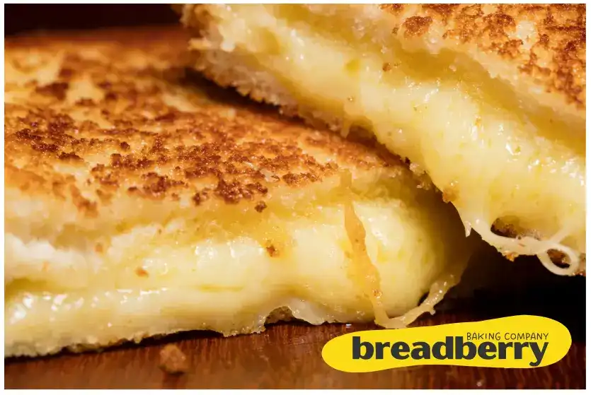 Grilled cheese + tomato salad